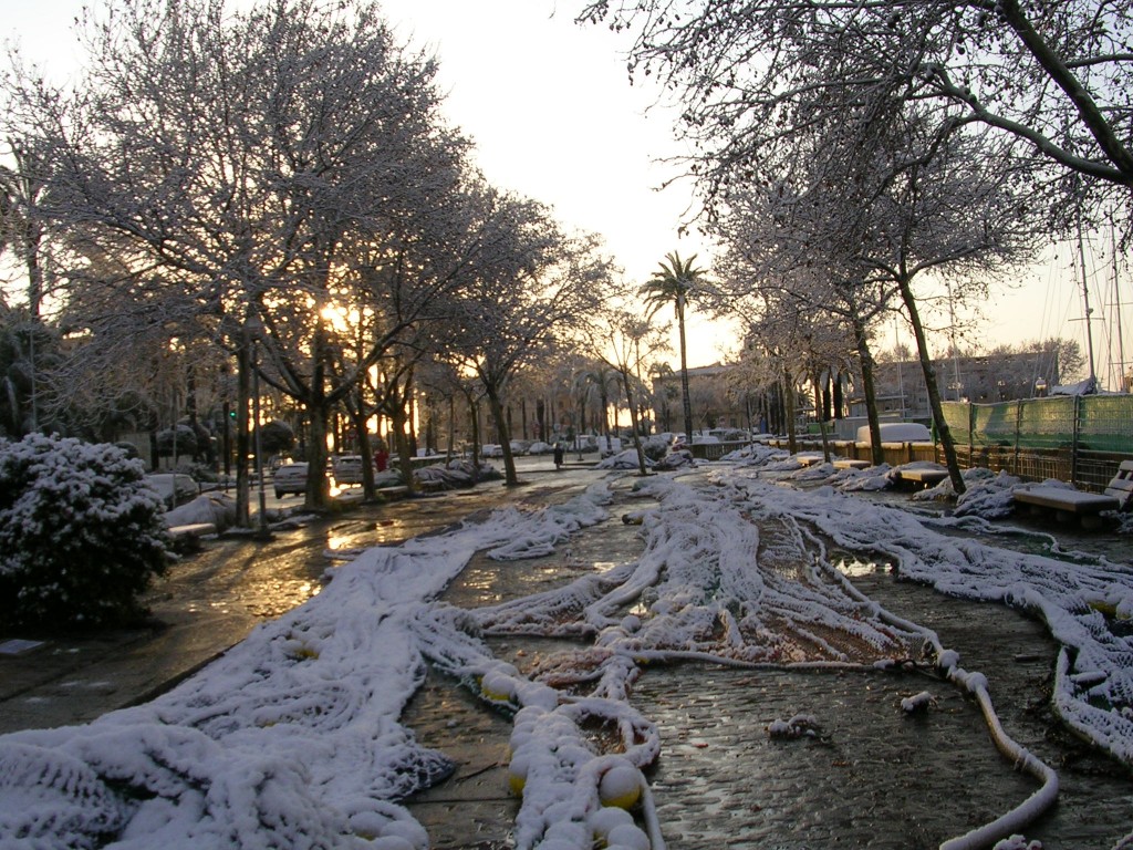 Foto de Palma De Mallorca (Illes Balears), España