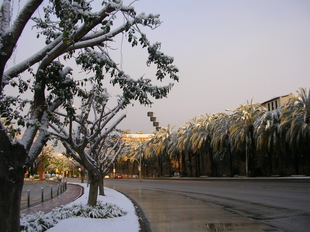 Foto de Palma De Mallorca (Illes Balears), España