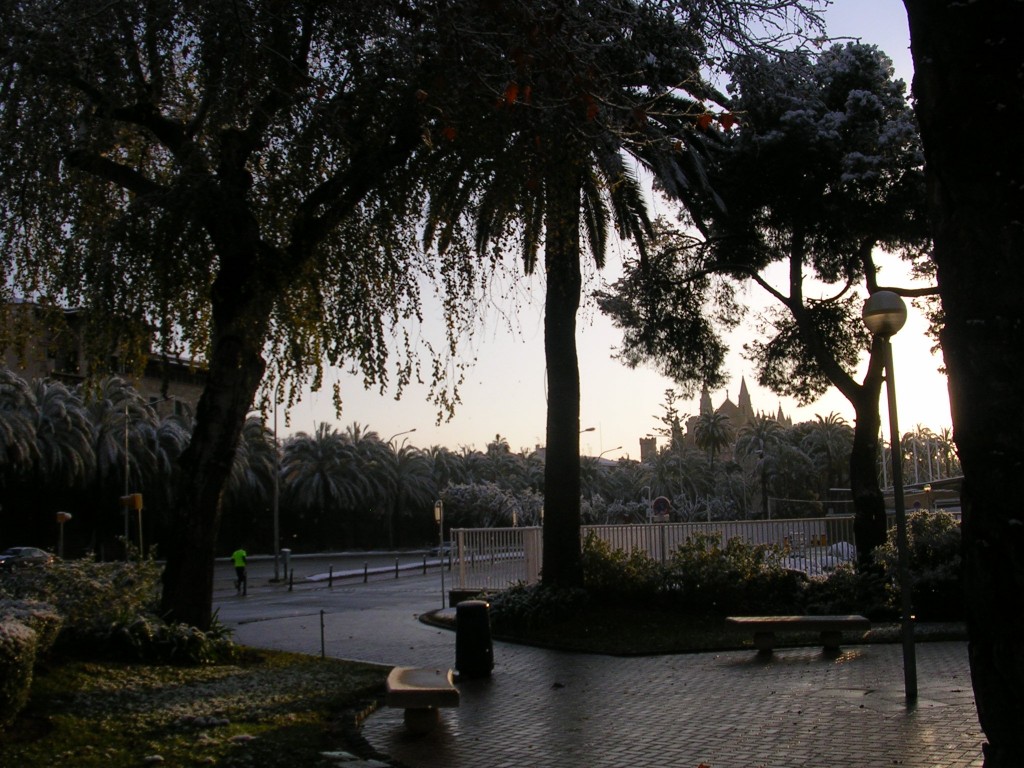 Foto de Palma De Mallorca (Illes Balears), España