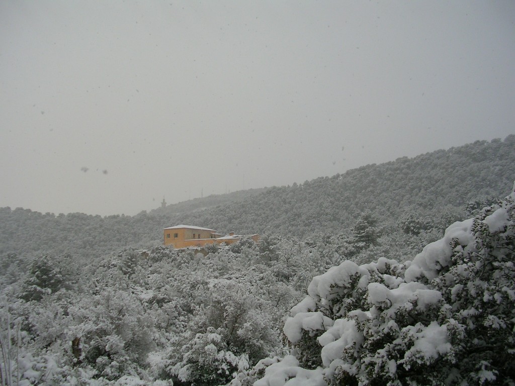 Foto de Palma De Mallorca (Illes Balears), España