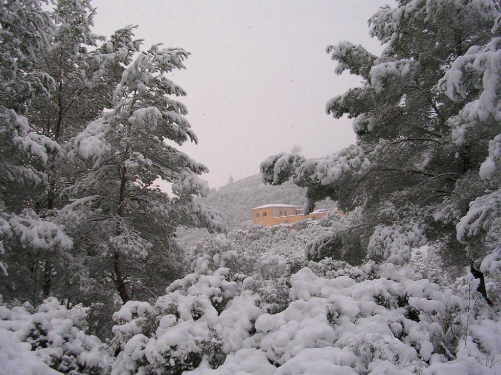 Foto de Palma De Mallorca (Illes Balears), España