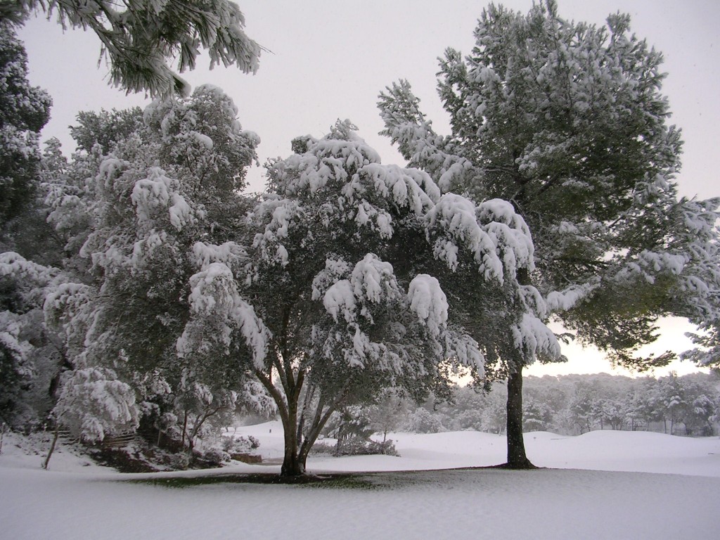 Foto de Palma De Mallorca (Illes Balears), España