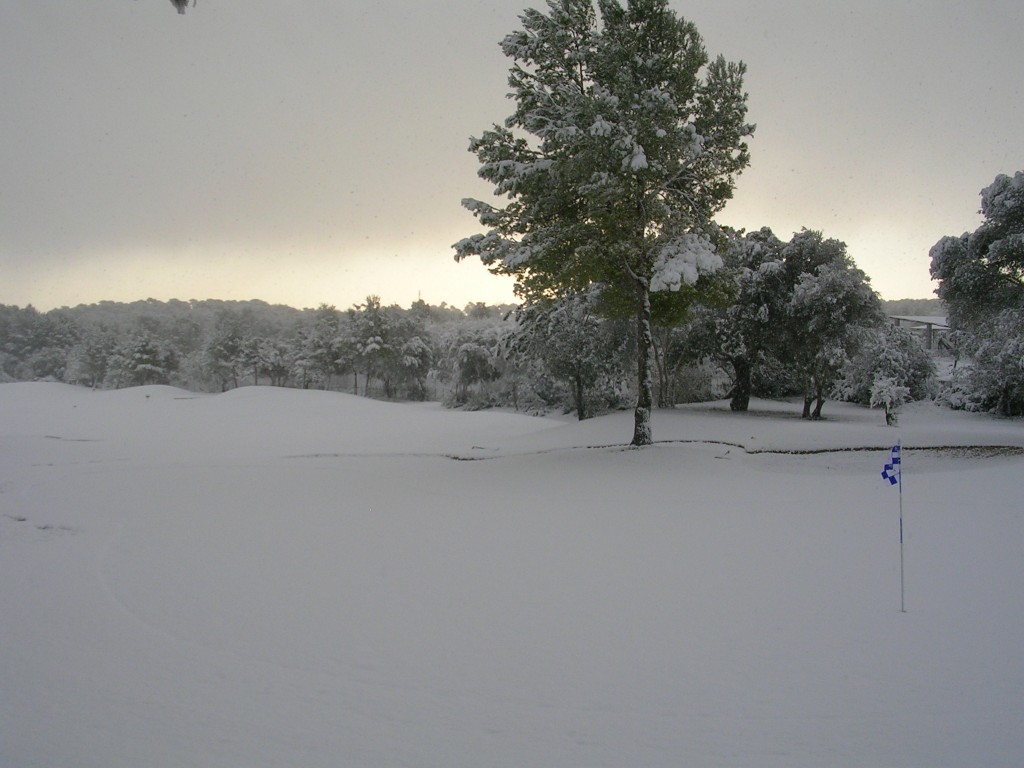 Foto: CAMPO DE GOLF - Palma De Mallorca (Illes Balears), España
