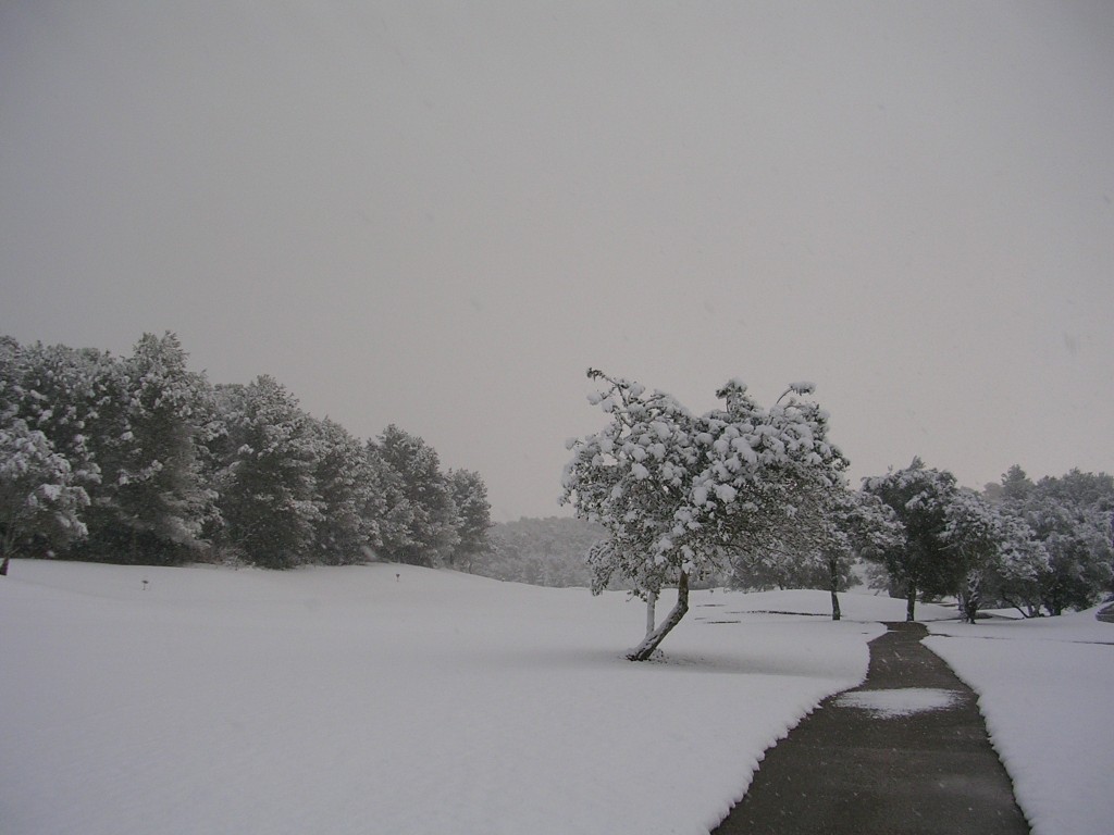 Foto: CAMINO AL NUEVO HOYO - Palma De Mallorca (Illes Balears), España