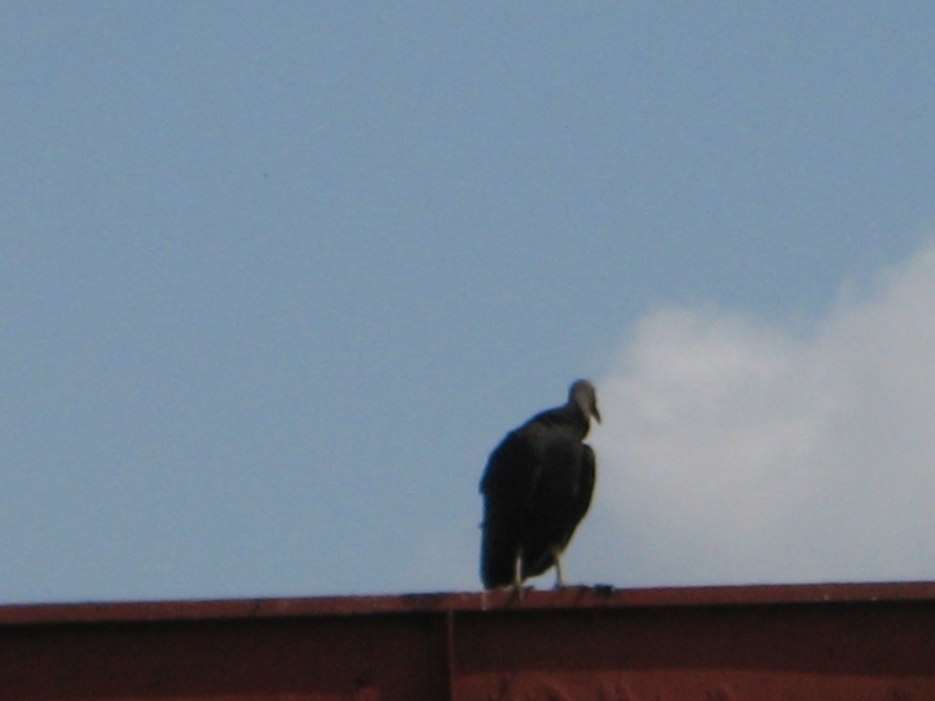 Foto de Tapachula (Chiapas), México