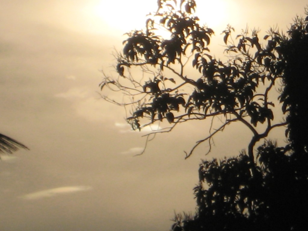 Foto de Tapachula (Chiapas), México
