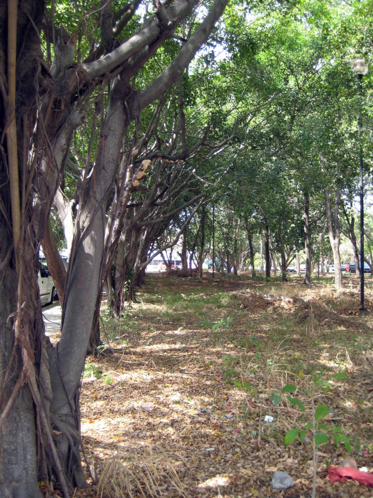 Foto de Tapachula (Chiapas), México