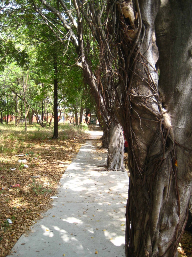 Foto de Tapachula (Chiapas), México