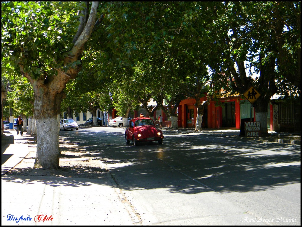 Foto de El Monte (Región Metropolitana), Chile