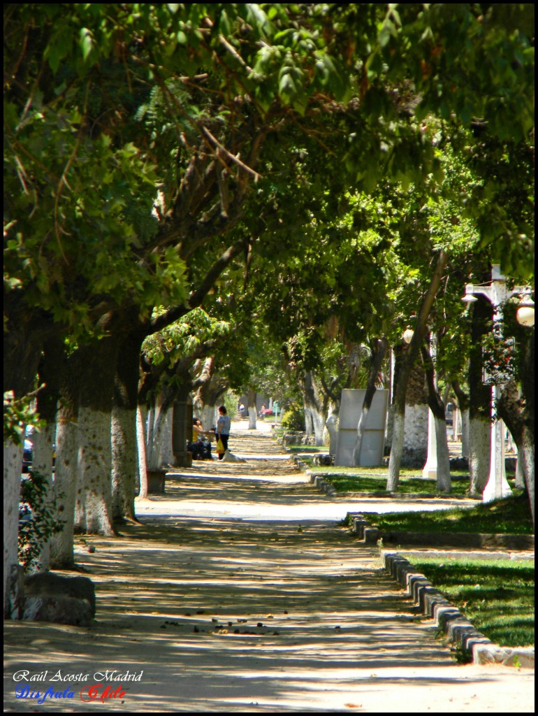 Foto de El Monte (Región Metropolitana), Chile