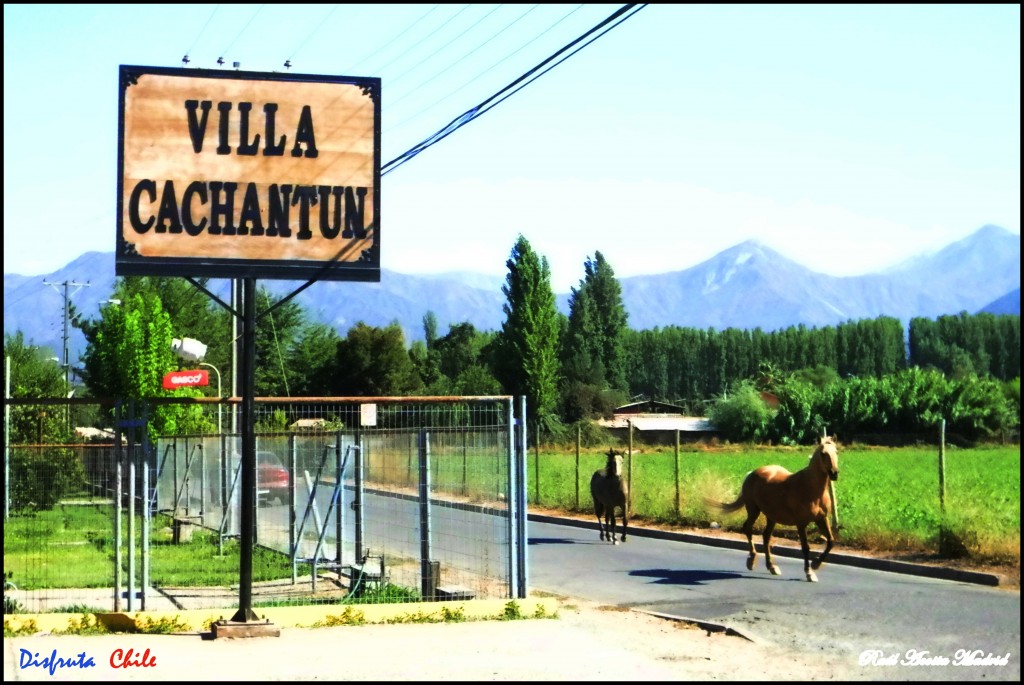 Foto de Copequén (Libertador General Bernardo OʼHiggins), Chile