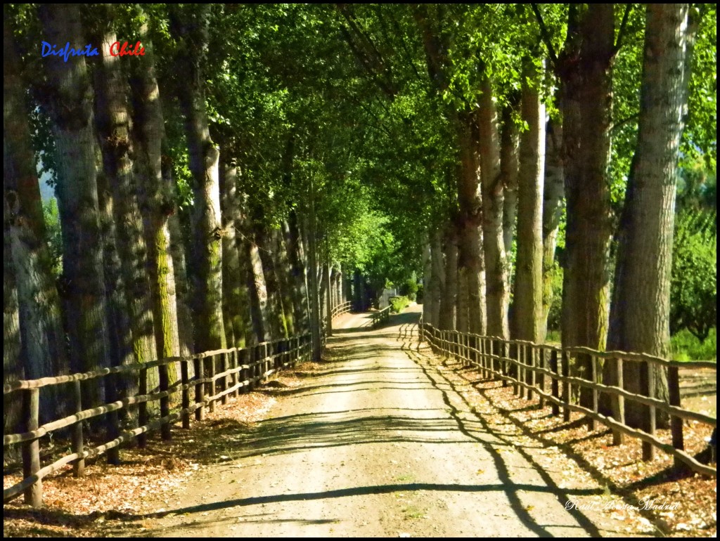 Foto de Doñihue (Libertador General Bernardo OʼHiggins), Chile