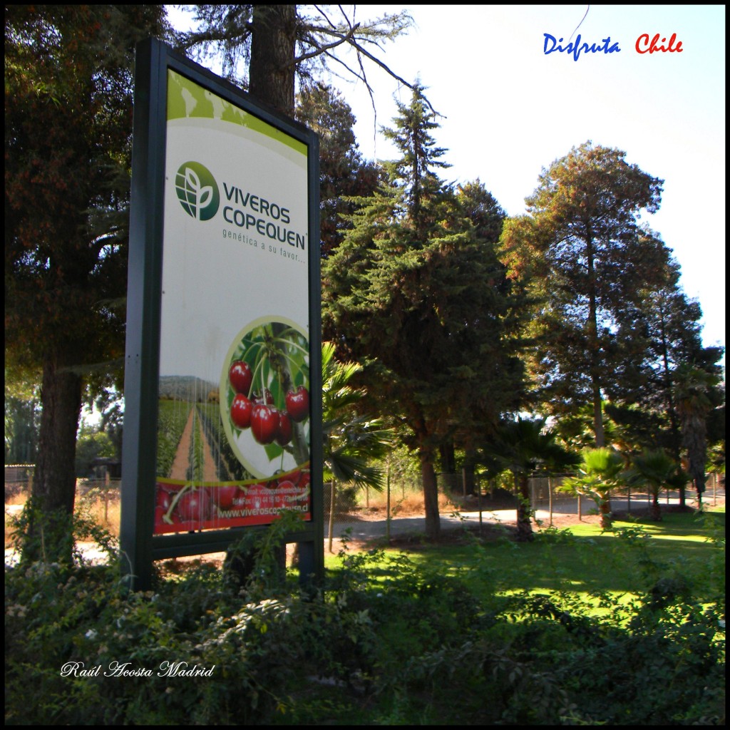 Foto de Copequén (Libertador General Bernardo OʼHiggins), Chile