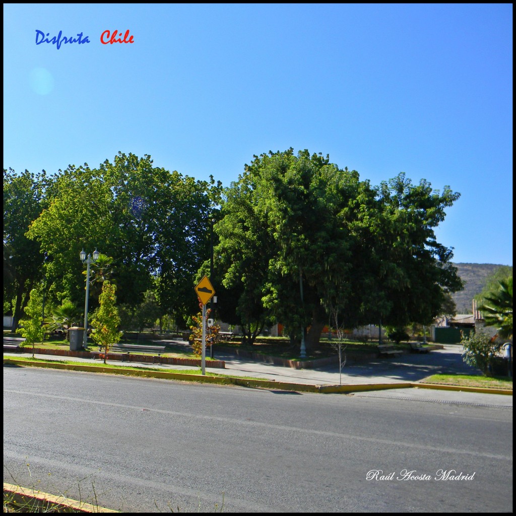 Foto de Copequén (Libertador General Bernardo OʼHiggins), Chile