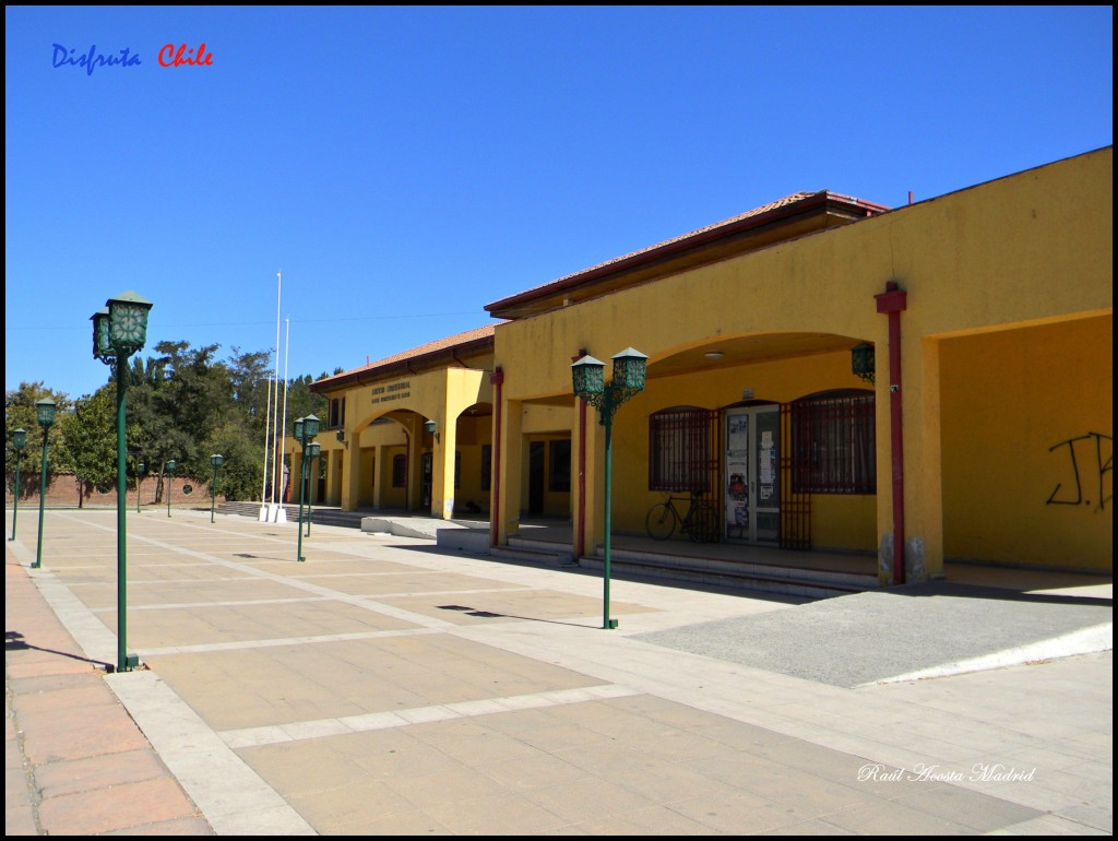 Foto de Olivar (Libertador General Bernardo OʼHiggins), Chile