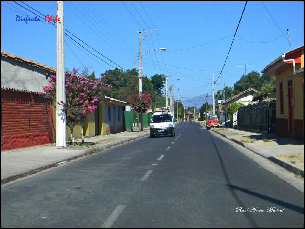 Foto de Olivar (Libertador General Bernardo OʼHiggins), Chile