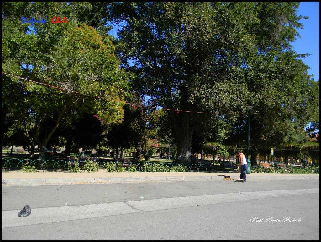 Foto de Olivar (Libertador General Bernardo OʼHiggins), Chile