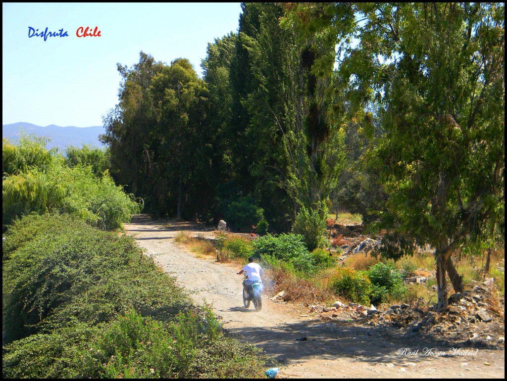 Foto de El Monte (Región Metropolitana), Chile