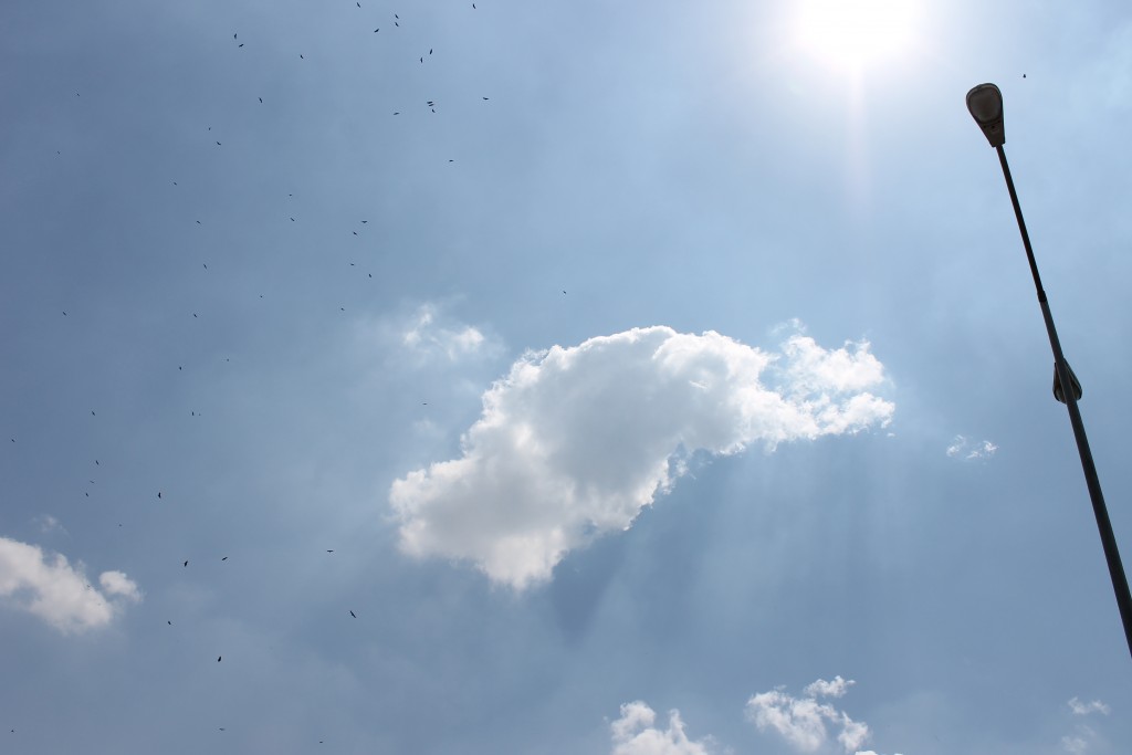 Foto de Tapachula (Chiapas), México