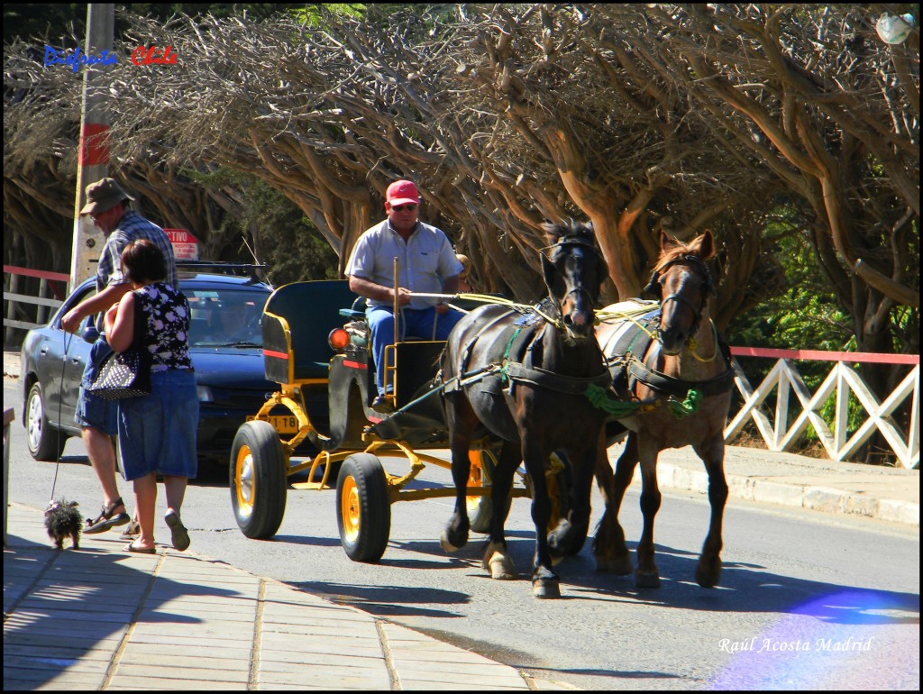 Foto de Pichilemu (Libertador General Bernardo OʼHiggins), Chile