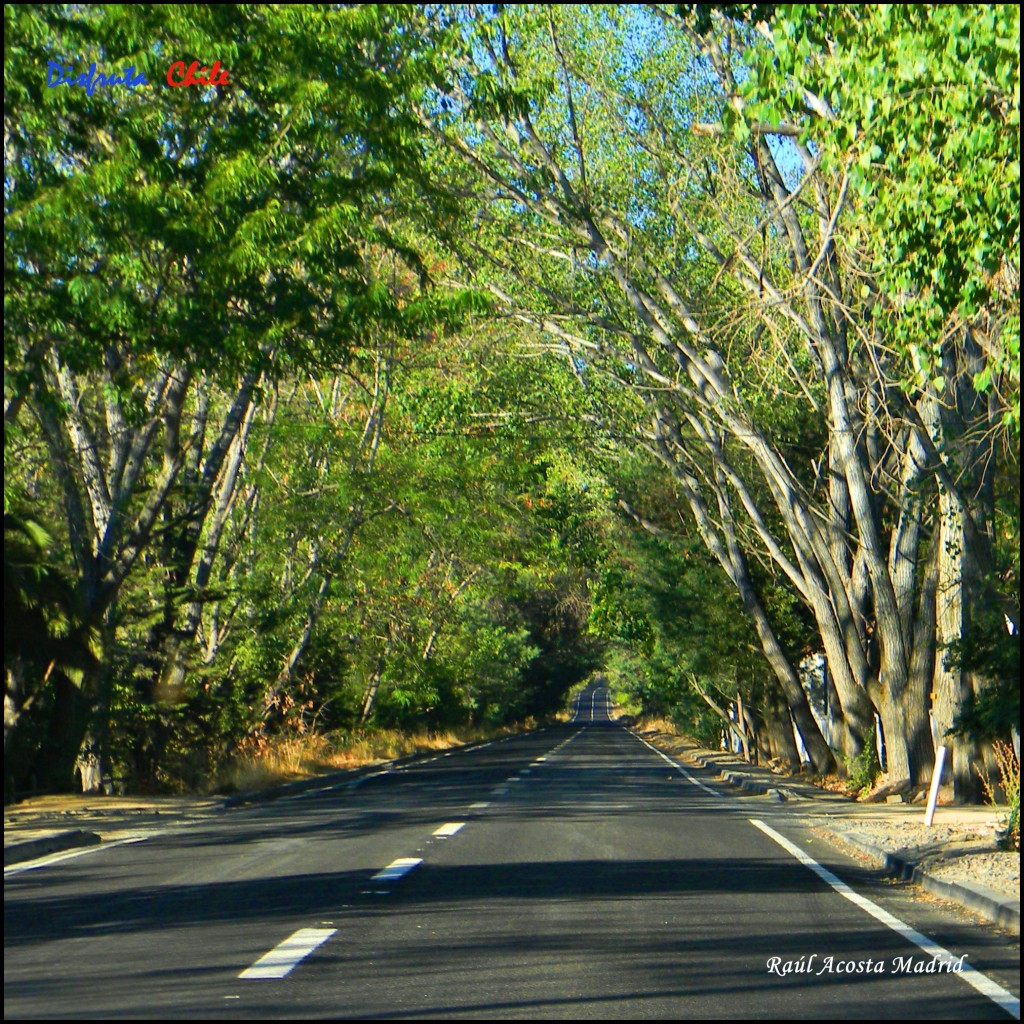 Foto de Marchigüe (Libertador General Bernardo OʼHiggins), Chile