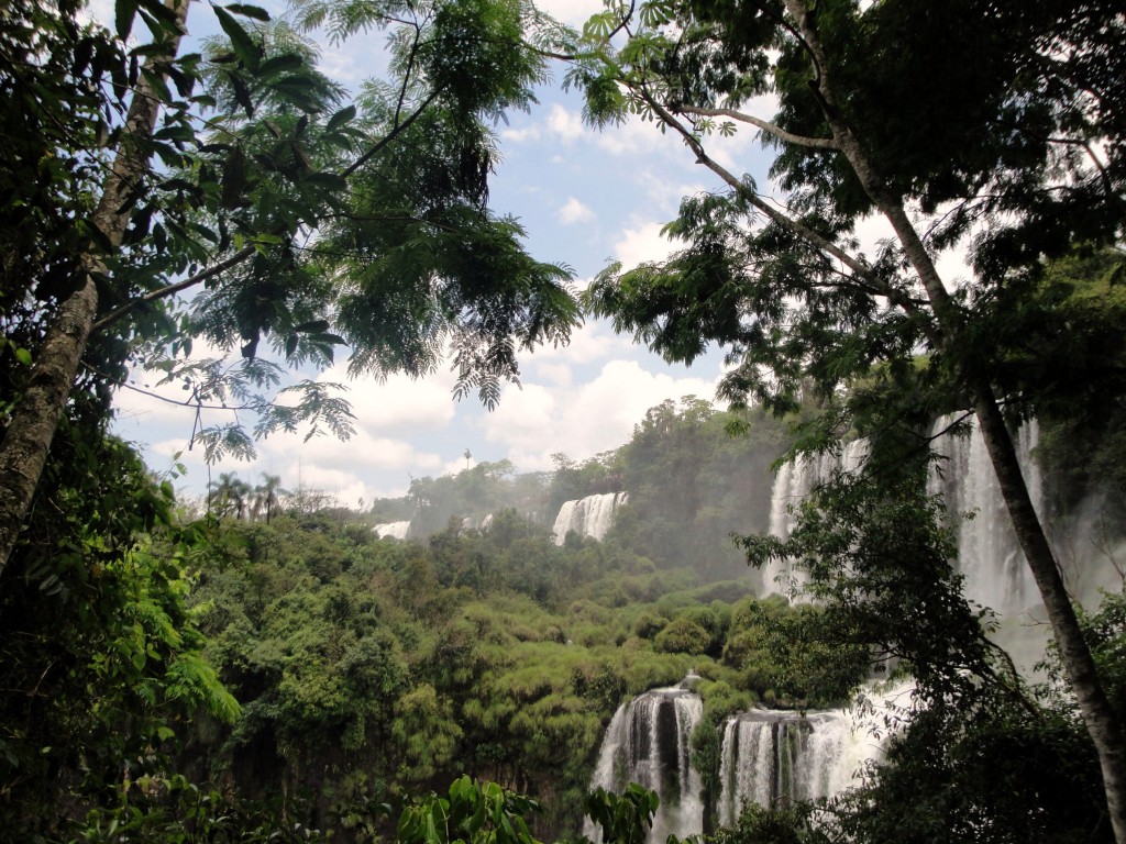 Foto: Circuito Inferior - Puerto Iguazú (Misiones), Argentina