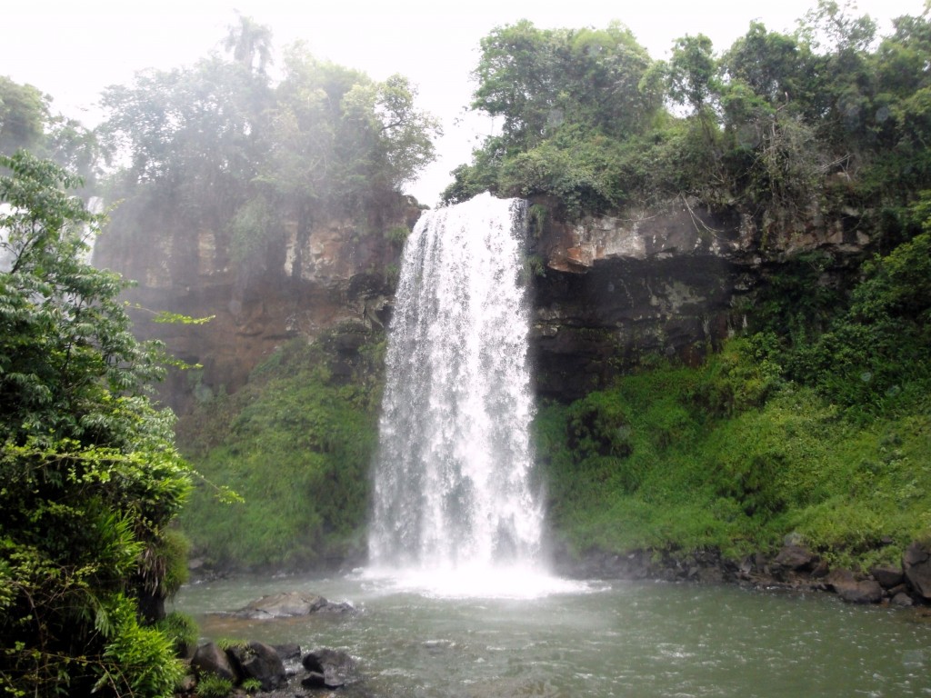 Foto: Circuito Inferior - Puerto Iguazú (Misiones), Argentina
