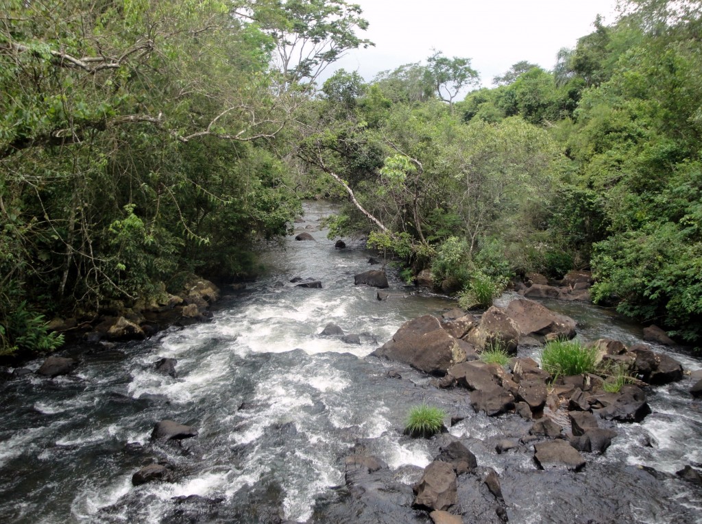 Foto: Circuito Inferior - Puerto Iguazú (Misiones), Argentina