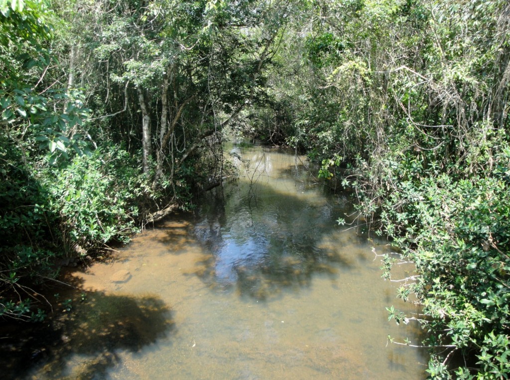 Foto: Circuito Superior - Puerto Iguazú (Misiones), Argentina