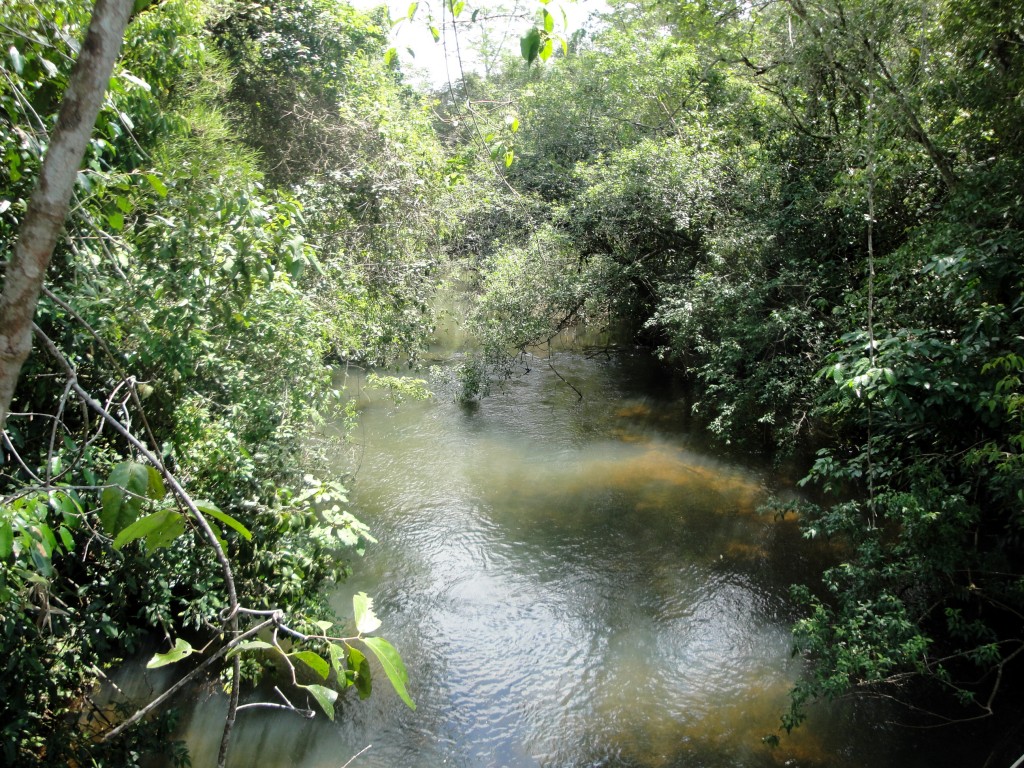 Foto: Circuito Superior - Puerto Iguazú (Misiones), Argentina