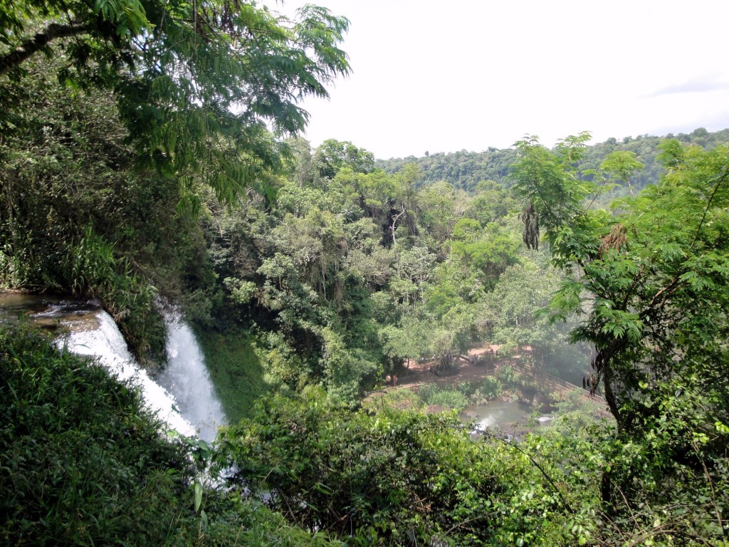 Foto: Circuito Superior - Puerto Iguazú (Misiones), Argentina
