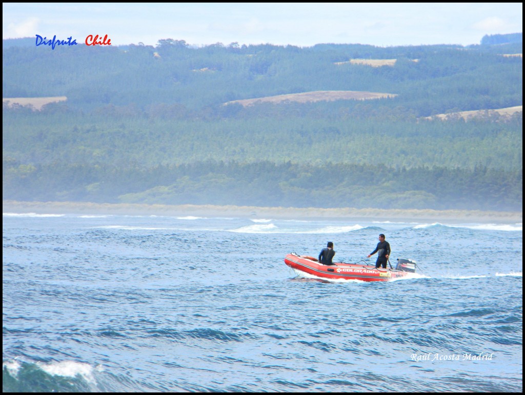 Foto de Pichilemu (Libertador General Bernardo OʼHiggins), Chile