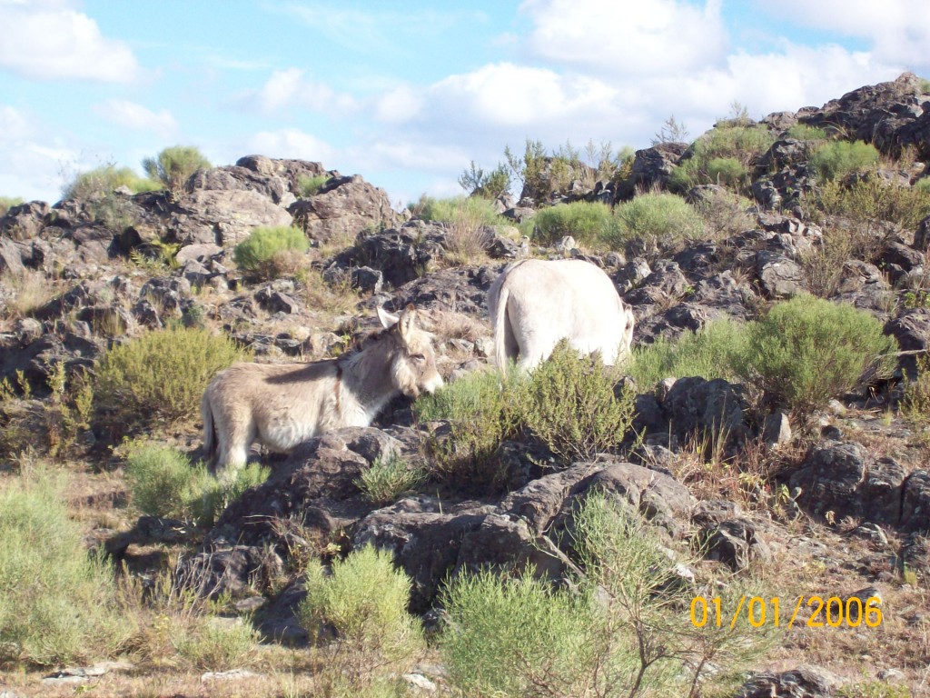 Foto de San Luis, Argentina