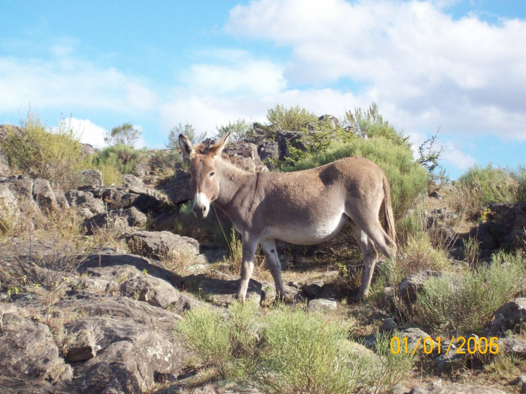 Foto de San Luis, Argentina