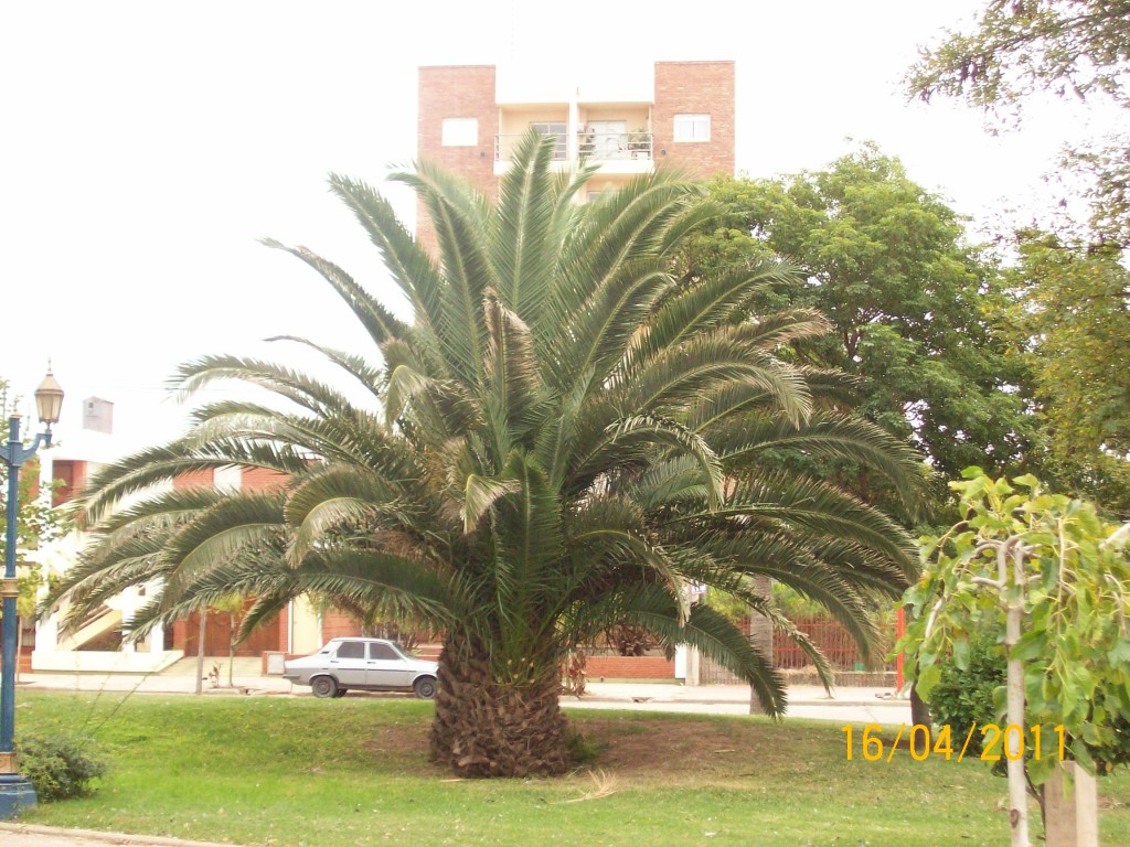 Foto de Oncativo (Córdoba), Argentina