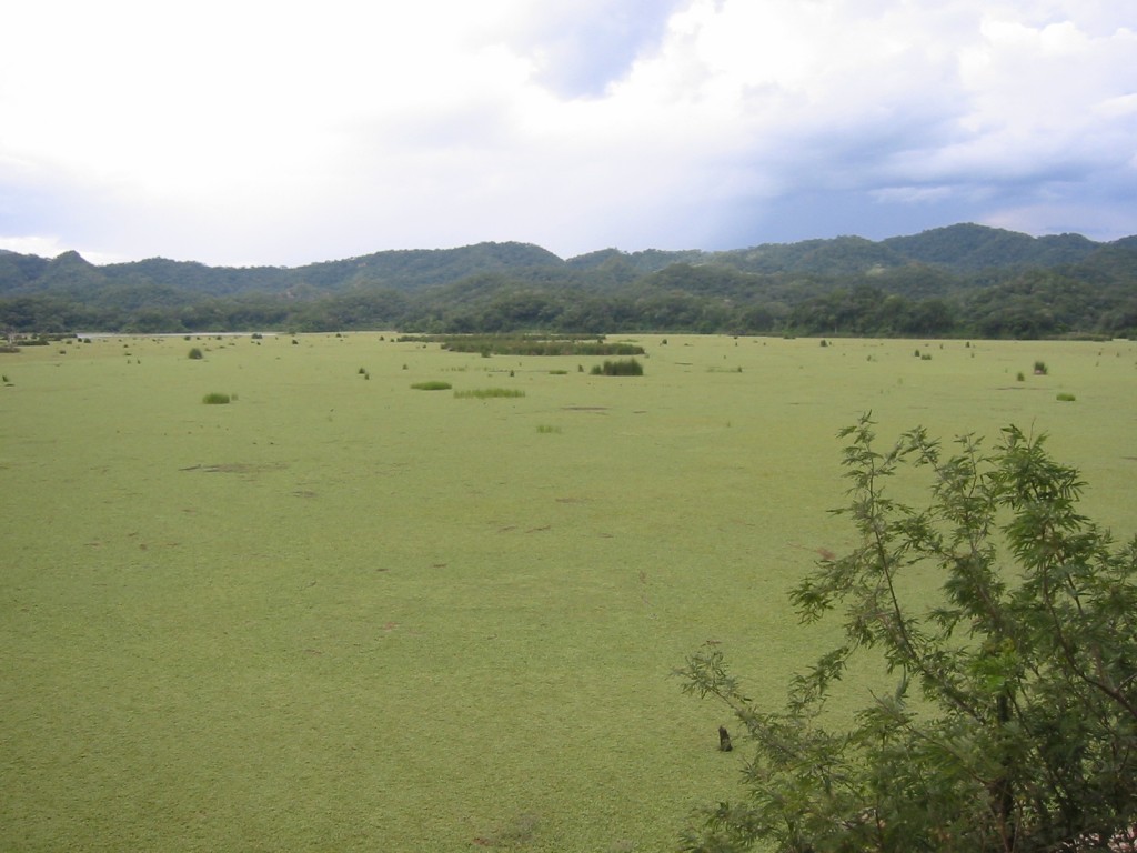 Foto: Laguna La Peña - Lagunillas (Santa Cruz), Bolivia