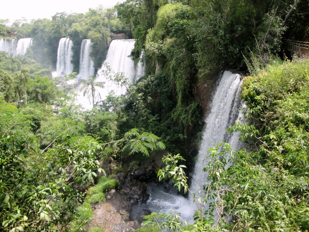 Foto: Circuito Superior - Puerto Iguazú (Misiones), Argentina