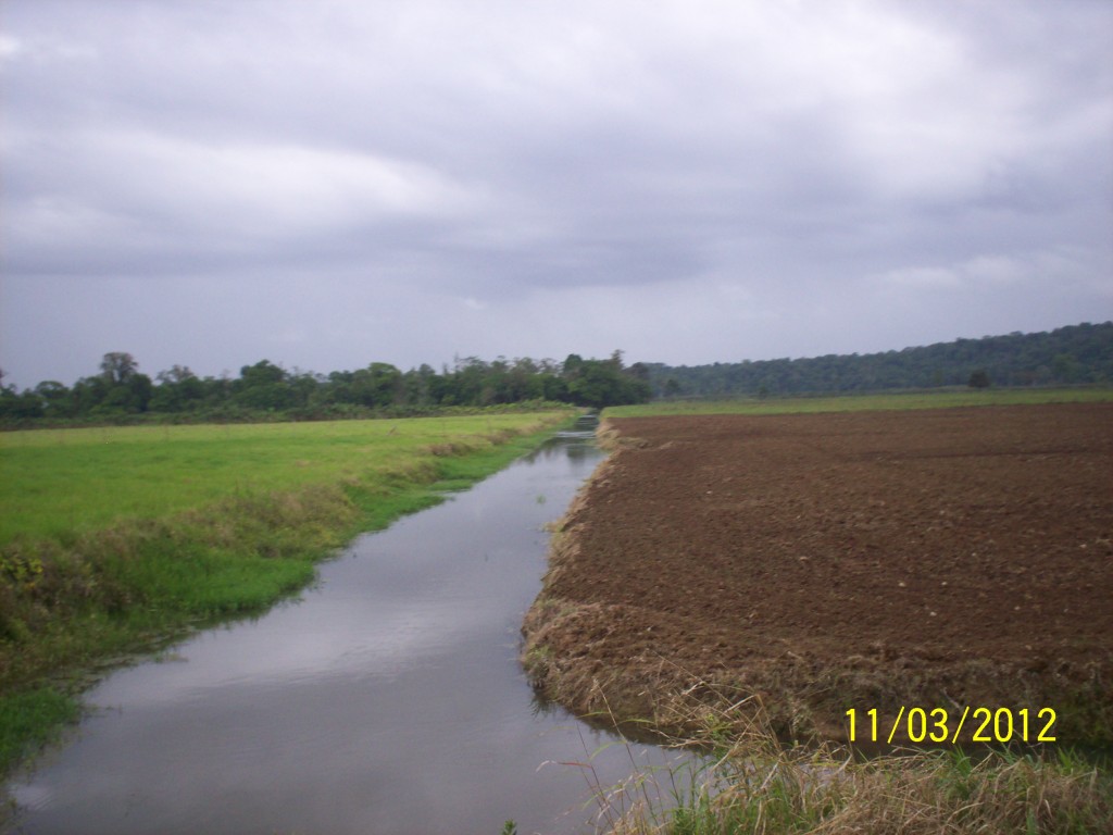 Foto de Fatima De Sarapiqui (Heredia), Costa Rica