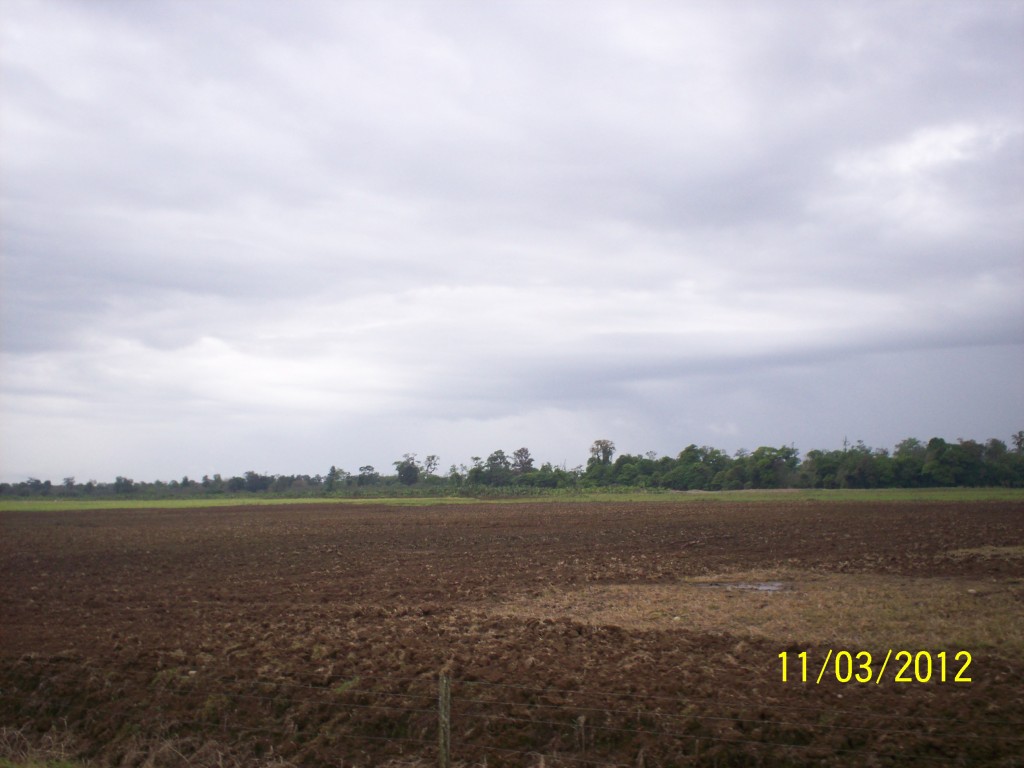 Foto de Fatima De Sarapiqui (Heredia), Costa Rica