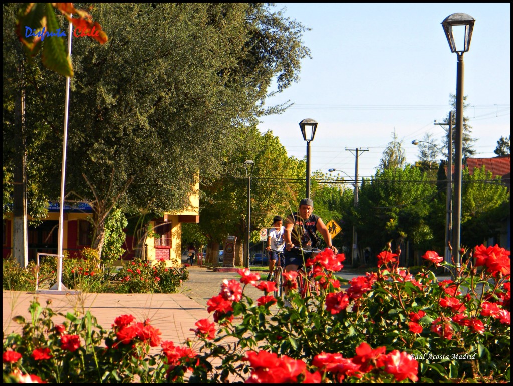 Foto de Graneros (Libertador General Bernardo OʼHiggins), Chile