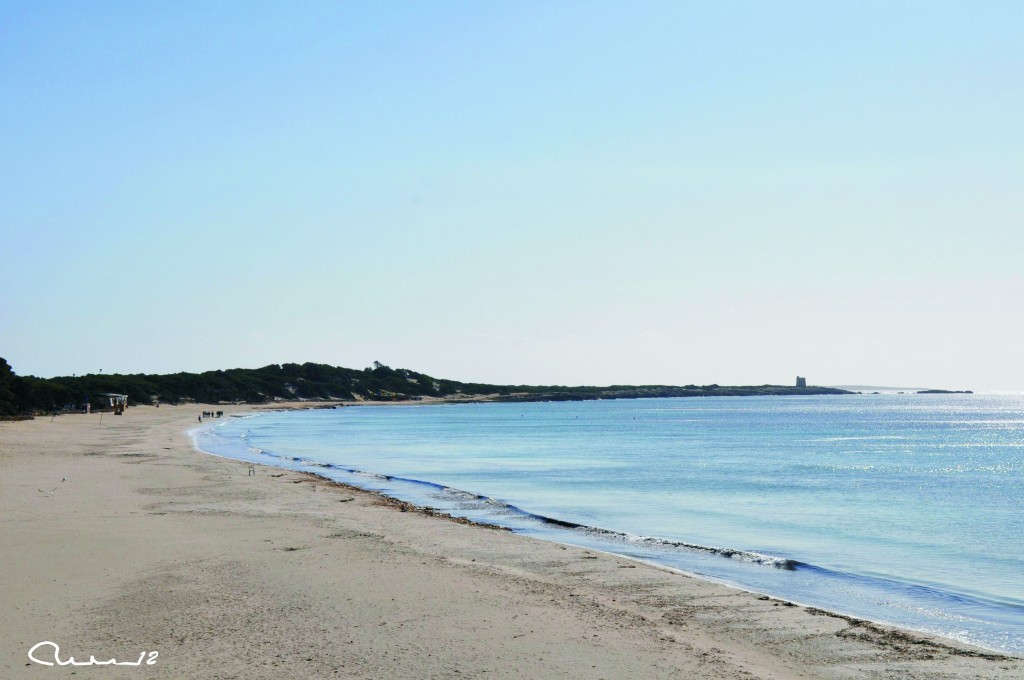 Foto: Playa - Ibiza (Illes Balears), España