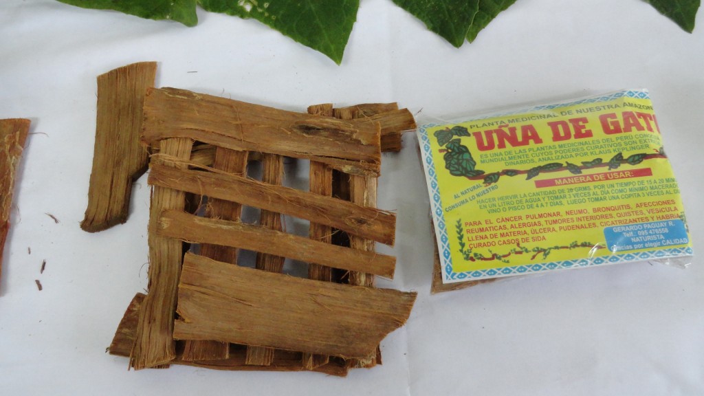 Foto: Uña de gato - Puyo (Veracruz) (Pastaza), Ecuador