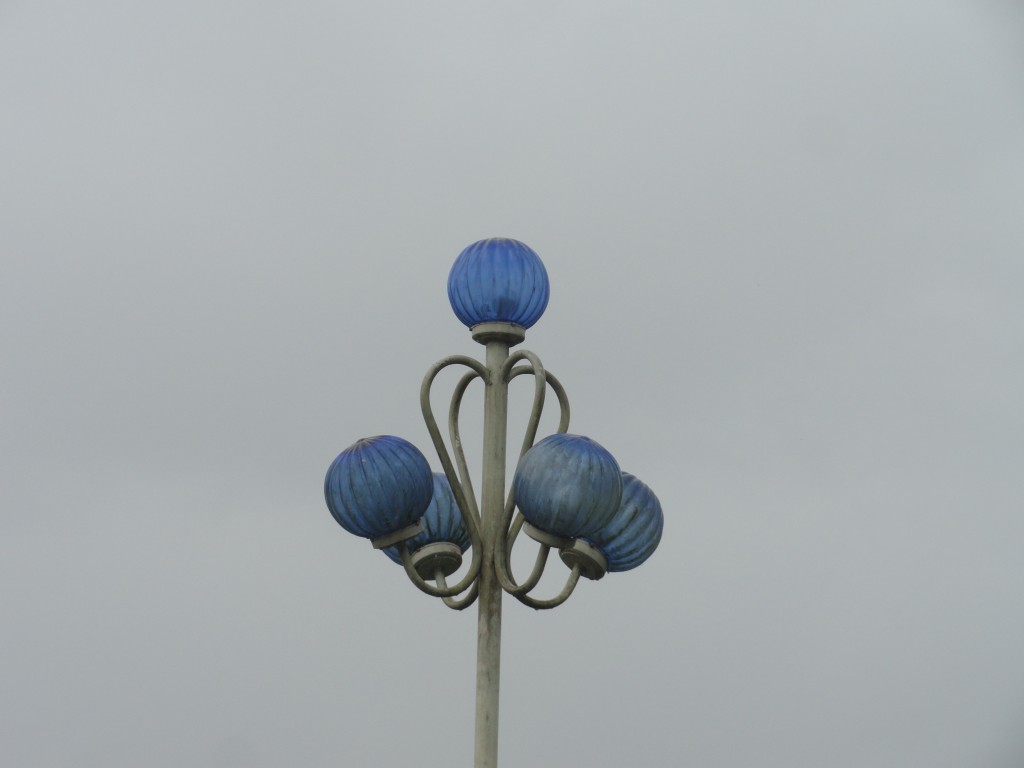 Foto: Fluorecentes - Mera (Pastaza), Ecuador