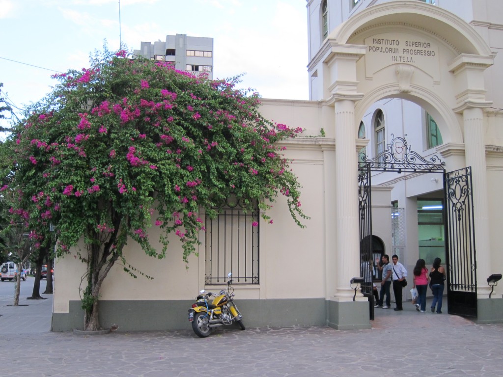 Foto: Catedral de San Salvador de Jujuy - San Salvador de Jujuy (Jujuy), Argentina