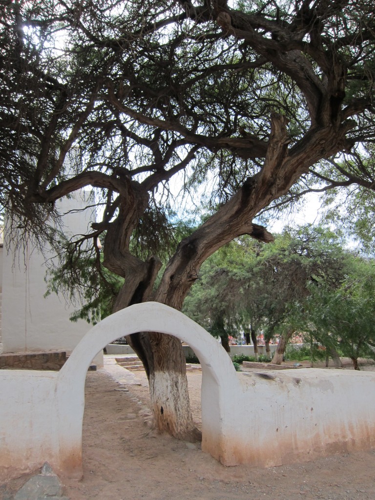 Foto: Purmamarca. - Jujuy, Argentina