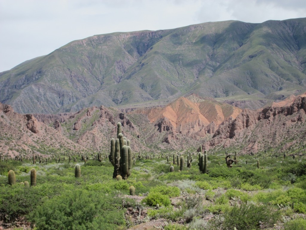 Foto: Quebrada de Humahuaca. - Jujuy, Argentina