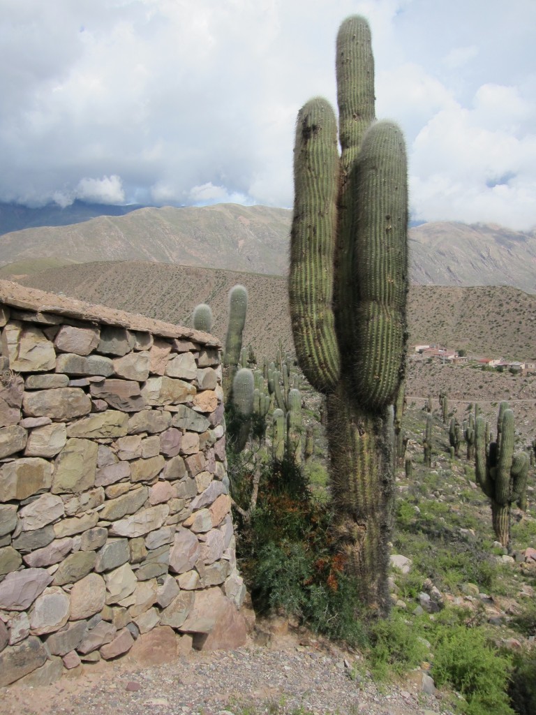 Foto: Tilcara. - Jujuy, Argentina