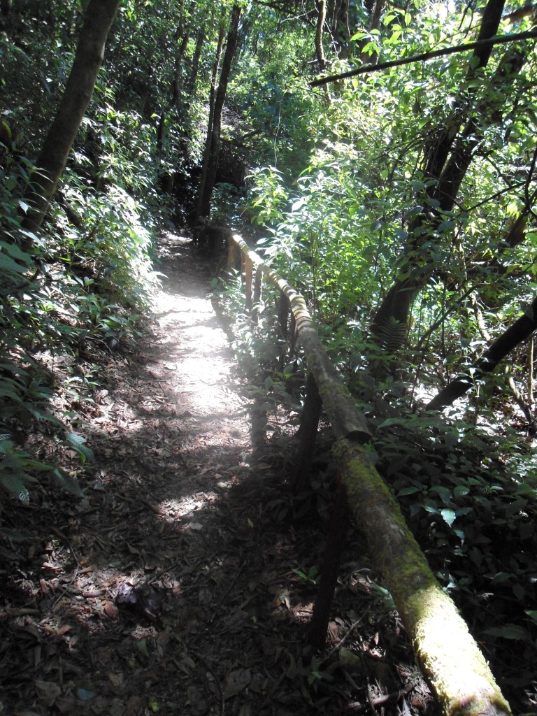 Foto: LAGUNA DE FRAIJANES (Fraijanes De San Isidro De Alajuela) - Fraijanes (Alajuela), Costa Rica