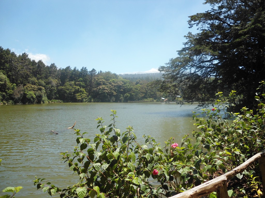 Foto: LAGUNA DE FRAIJANES (Fraijanes De San Isidro De Alajuela) - Fraijanes (Alajuela), Costa Rica