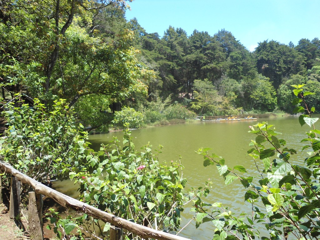 Foto: LAGUNA DE FRAIJANES (Fraijanes De San Isidro De Alajuela) - Fraijanes (Alajuela), Costa Rica